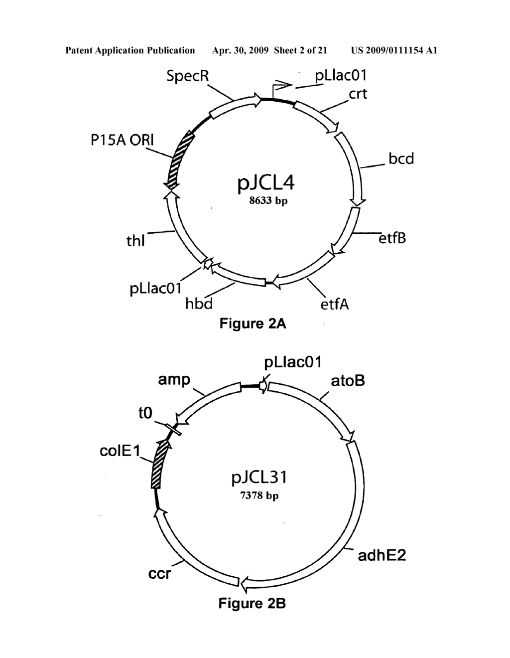 BUTANOL PRODUCTION BY RECOMBINANT MICROORGANISMS - diagram, schematic, and image 03