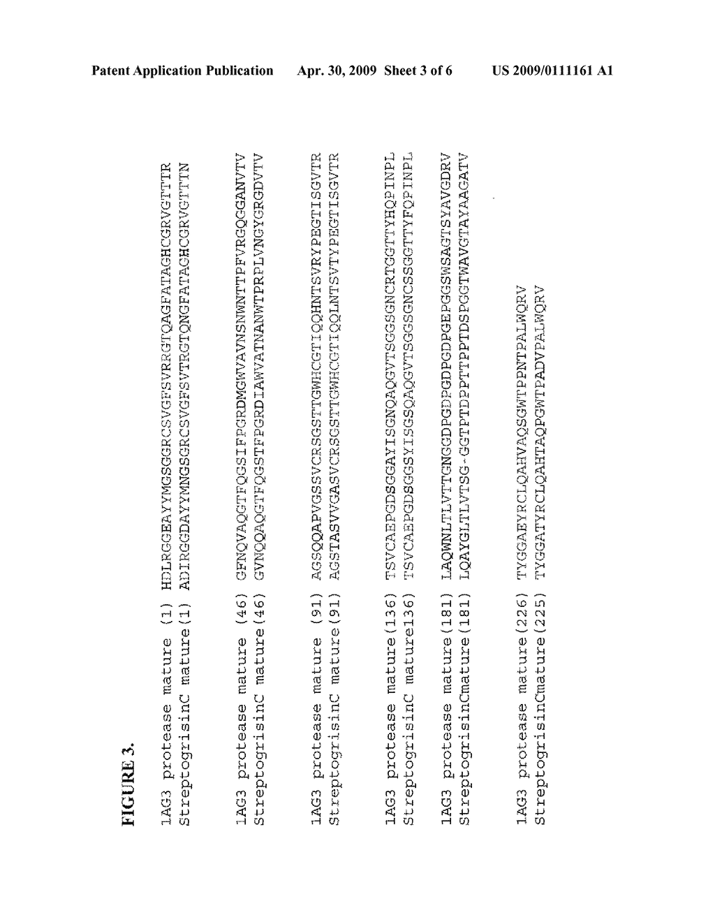 STREPTOMYCES PROTEASE - diagram, schematic, and image 04