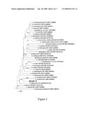 Thermotolerant Actinomadura strain capable of degrading polyesters diagram and image