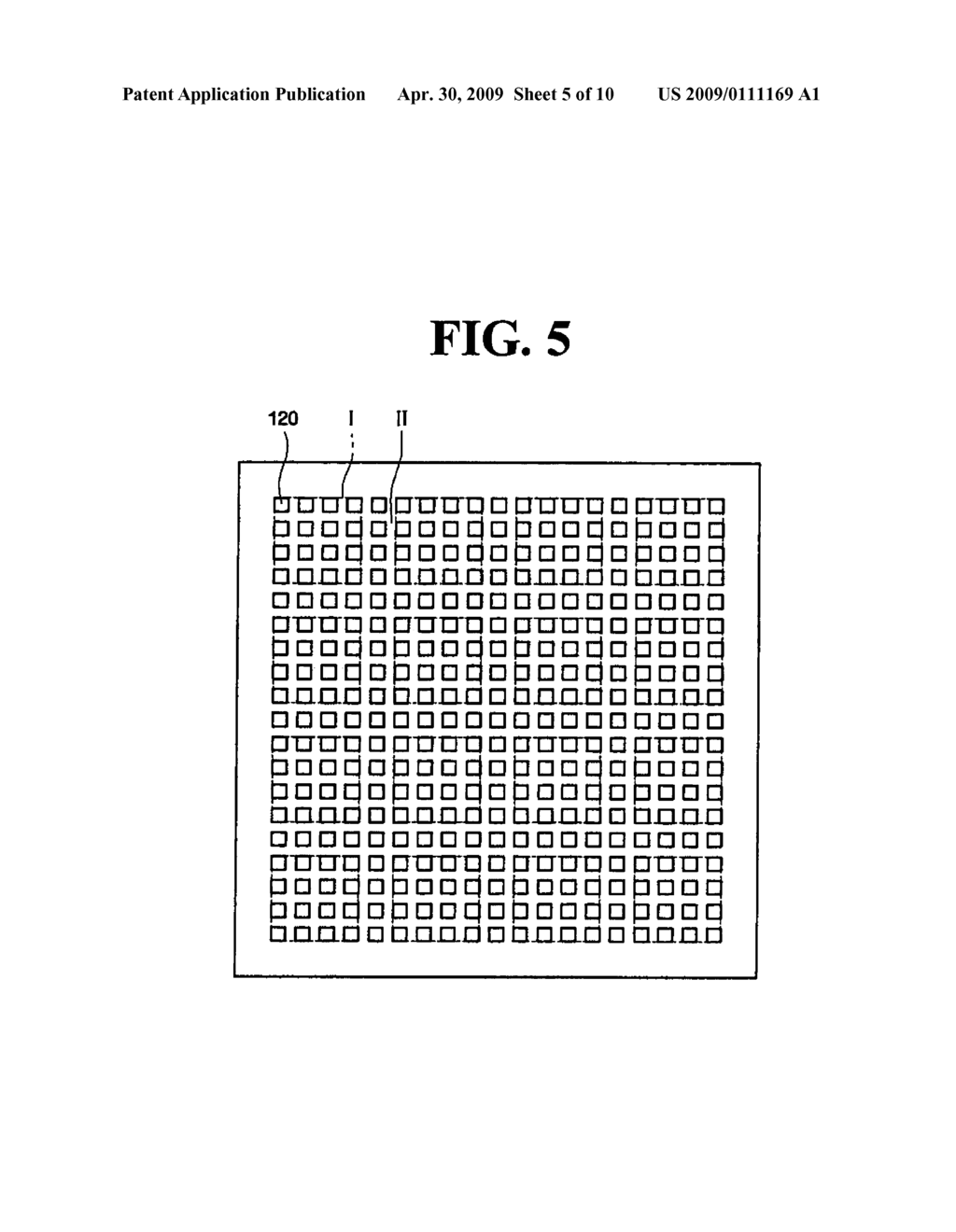 BIOCHIP AND METHOD OF FABRICATION - diagram, schematic, and image 06