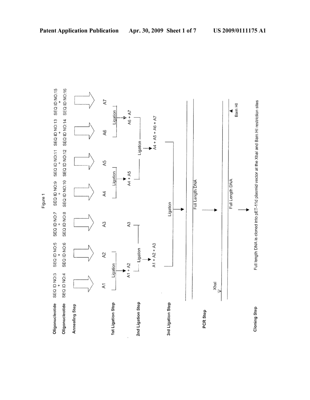 NUCLEIC ACID ENCODING A NOVEL RIBONUCLEASE HAVING AN AMINO ACID SEQUENCE MADE UP OF THE AMINO ACID SEQUENCE OF A KNOWN RIBONUCLEASE AND AN N-TERMINAL LEADER SEQUENCE - diagram, schematic, and image 02