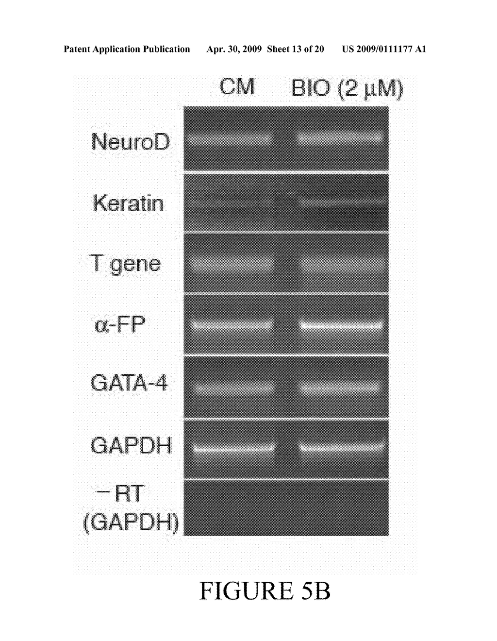 Maintenance of Embryonic Stem Cells by the GSK-3 Inhibitor 6-Bromoindirubin-3'-Oxime - diagram, schematic, and image 14