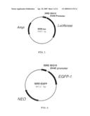 GENE REPORTER ASSAY, KIT, AND CELLS FOR DETERMINING THE PRESENCE AND/OR THE LEVEL OF A MOLECULE THAT ACTIVATES SIGNAL TRANSDUCTION ACTIVITY OF A CELL SURFACE PROTEIN diagram and image