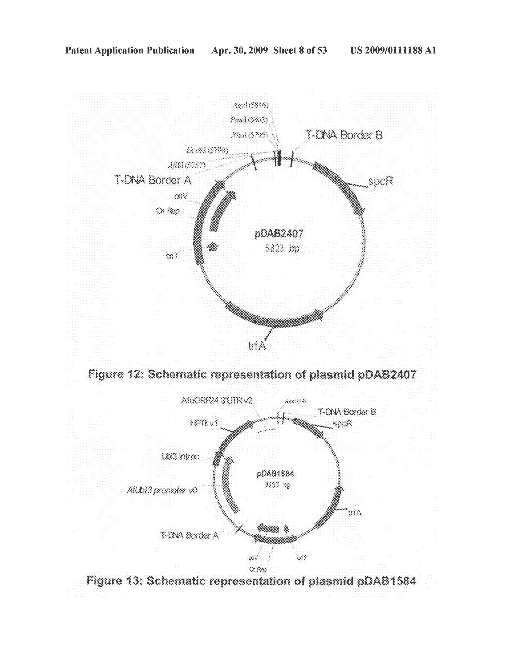 Optimized non-canonical zinc finger proteins - diagram, schematic, and image 09