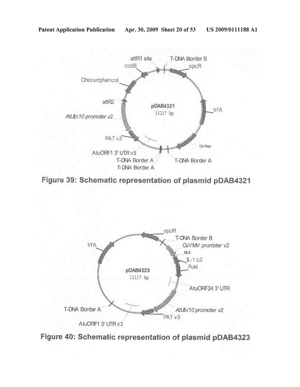 Optimized non-canonical zinc finger proteins - diagram, schematic, and image 21