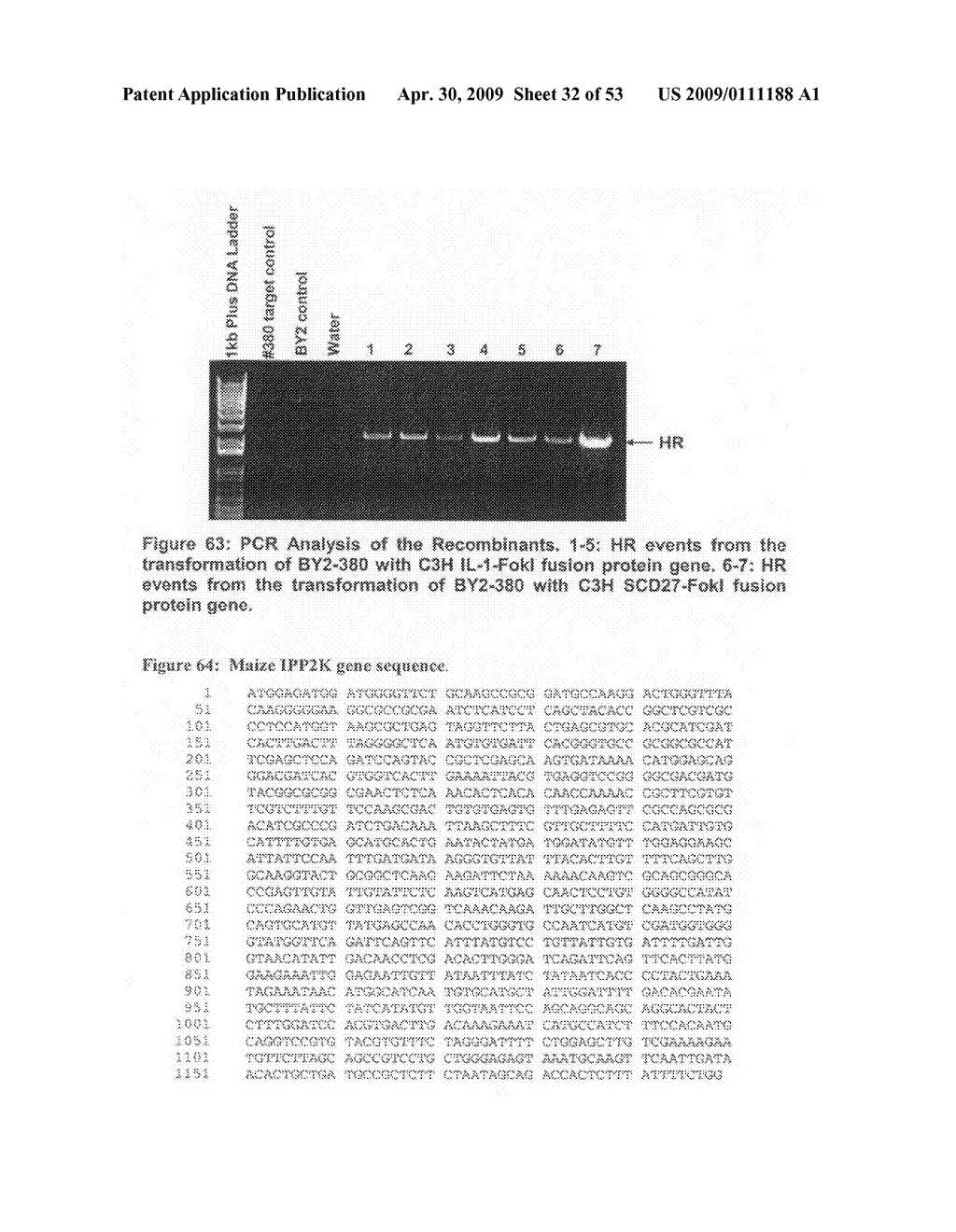 Optimized non-canonical zinc finger proteins - diagram, schematic, and image 33