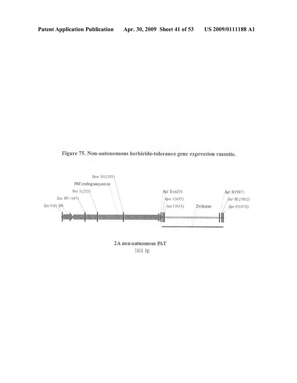 Optimized non-canonical zinc finger proteins - diagram, schematic, and image 42