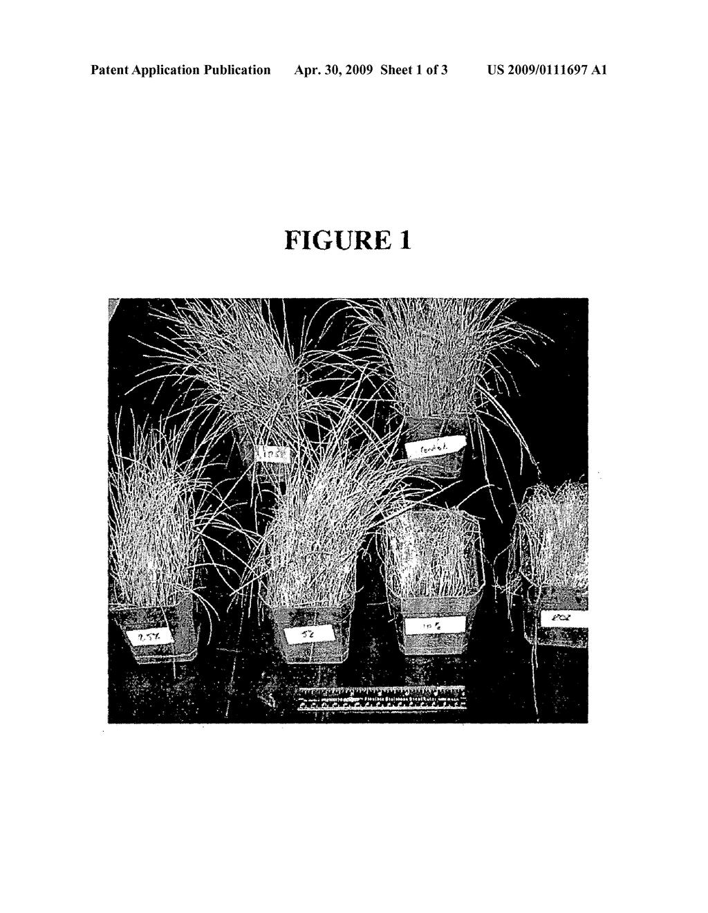 PROPIONIC ACID AS AN HERBICIDE - diagram, schematic, and image 02