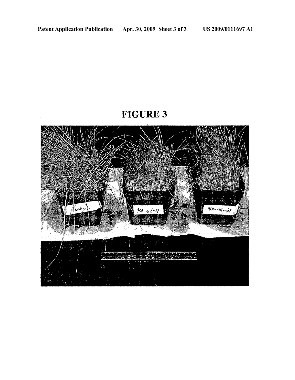 PROPIONIC ACID AS AN HERBICIDE - diagram, schematic, and image 04