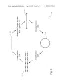 SELECTION OF DNA ADAPTOR ORIENTATION BY HYBRID CAPTURE diagram and image