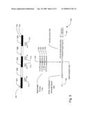 SELECTION OF DNA ADAPTOR ORIENTATION BY HYBRID CAPTURE diagram and image