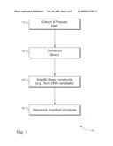 SELECTION OF DNA ADAPTOR ORIENTATION BY AMPLIFICATION diagram and image