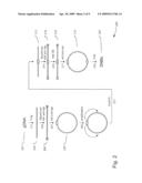 SELECTION OF DNA ADAPTOR ORIENTATION BY AMPLIFICATION diagram and image