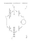 SELECTION OF DNA ADAPTOR ORIENTATION BY AMPLIFICATION diagram and image