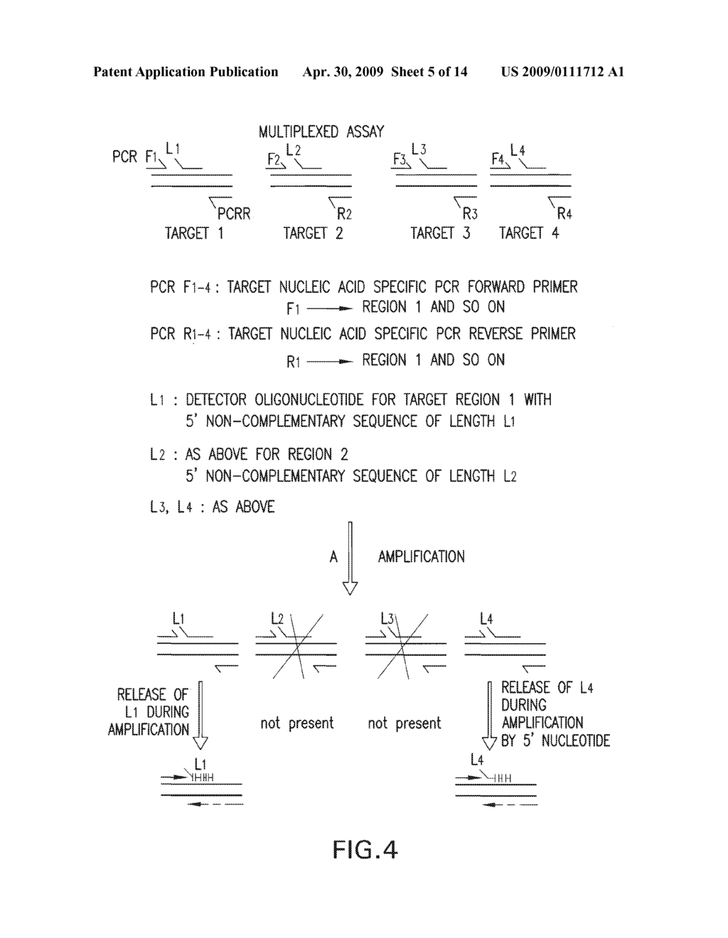 DETECTION AND QUANTIFICATION OF BIOMOLECULES USING MASS SPECTROMETRY - diagram, schematic, and image 06