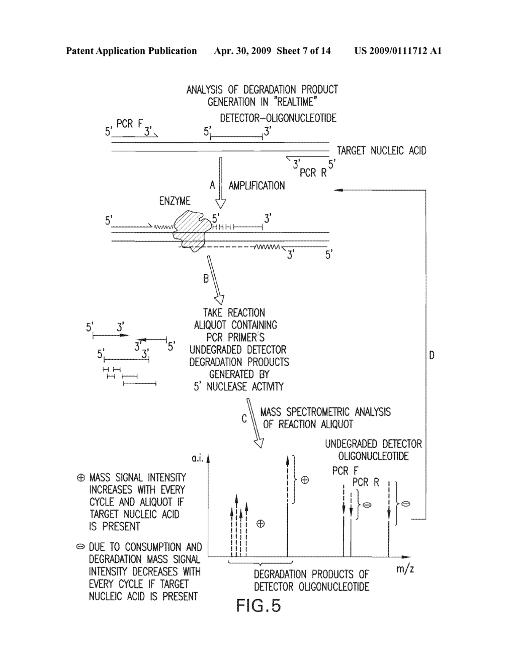 DETECTION AND QUANTIFICATION OF BIOMOLECULES USING MASS SPECTROMETRY - diagram, schematic, and image 08