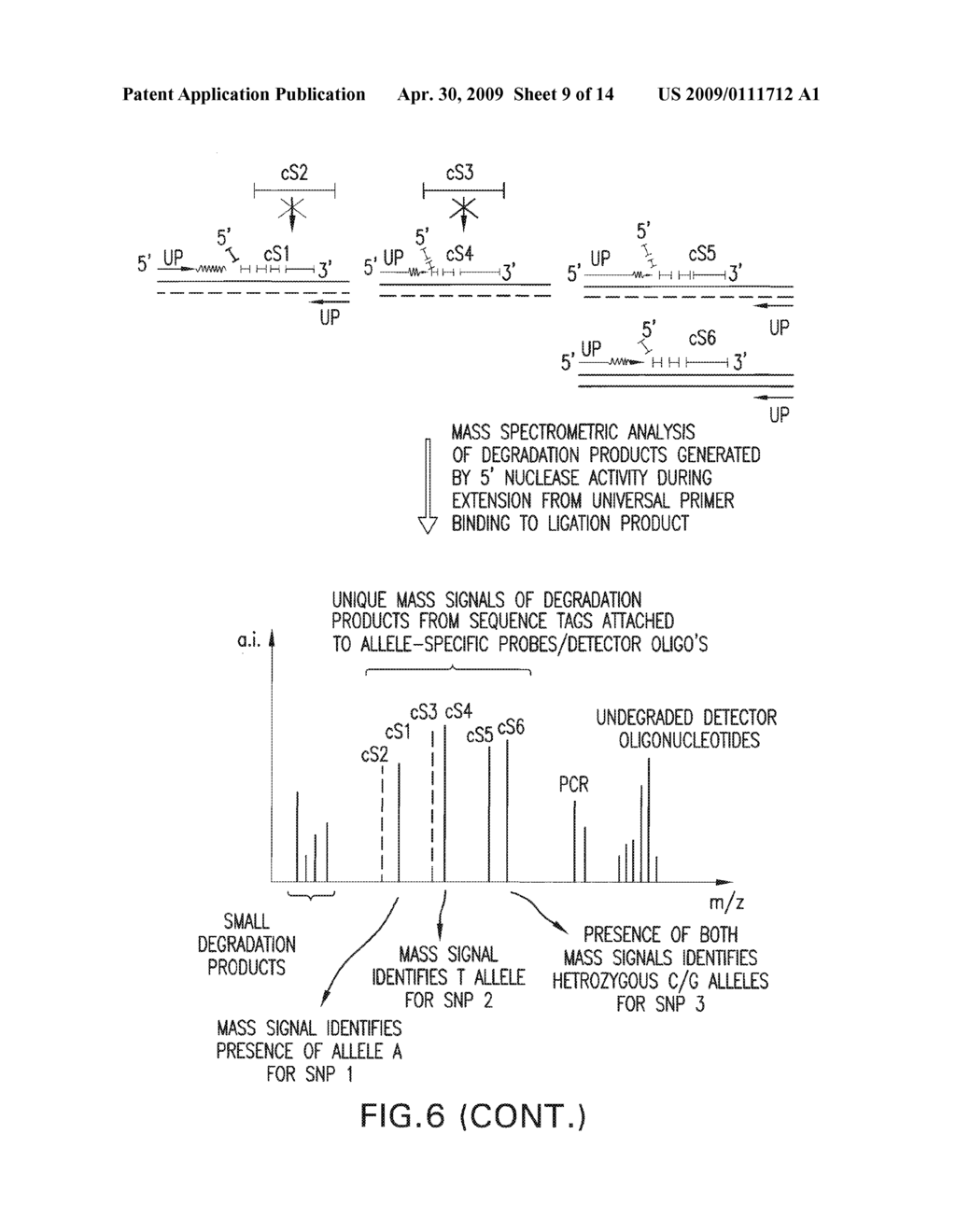 DETECTION AND QUANTIFICATION OF BIOMOLECULES USING MASS SPECTROMETRY - diagram, schematic, and image 10