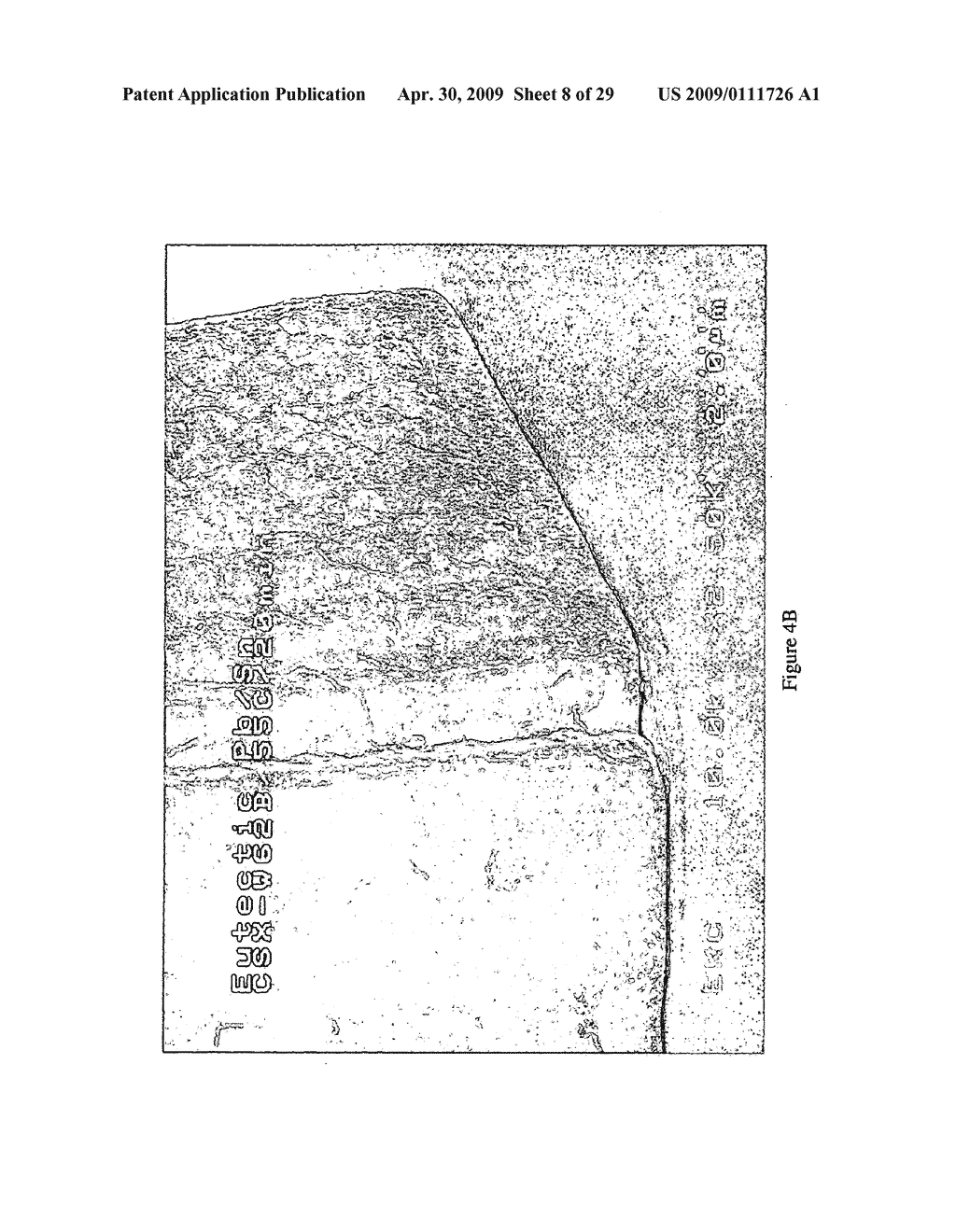 Compounds for Photoresist Stripping - diagram, schematic, and image 09