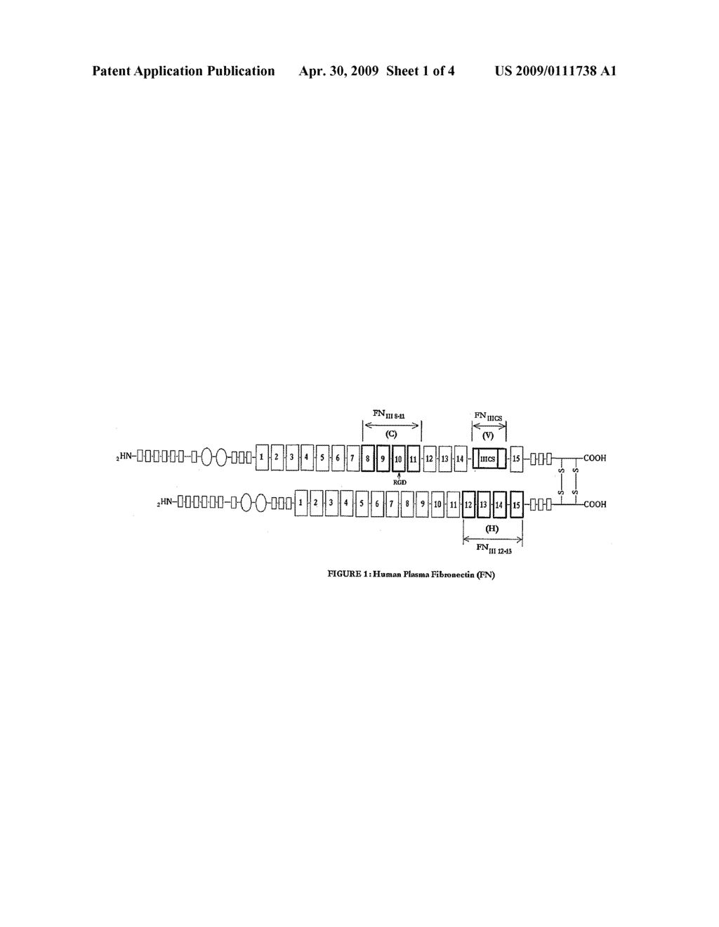 FIBRONECTIN POLYPEPTIDES AND METHODS OF USE - diagram, schematic, and image 02