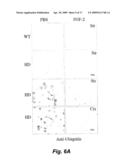 FIBROBLAST GROWTH FACTOR-2 PROMOTES NEUROGENESIS AND NEUROPROTECTION AND PROLONGS SURVIVAL IN HUNTINGTON S DISEASE diagram and image