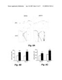 FIBROBLAST GROWTH FACTOR-2 PROMOTES NEUROGENESIS AND NEUROPROTECTION AND PROLONGS SURVIVAL IN HUNTINGTON S DISEASE diagram and image