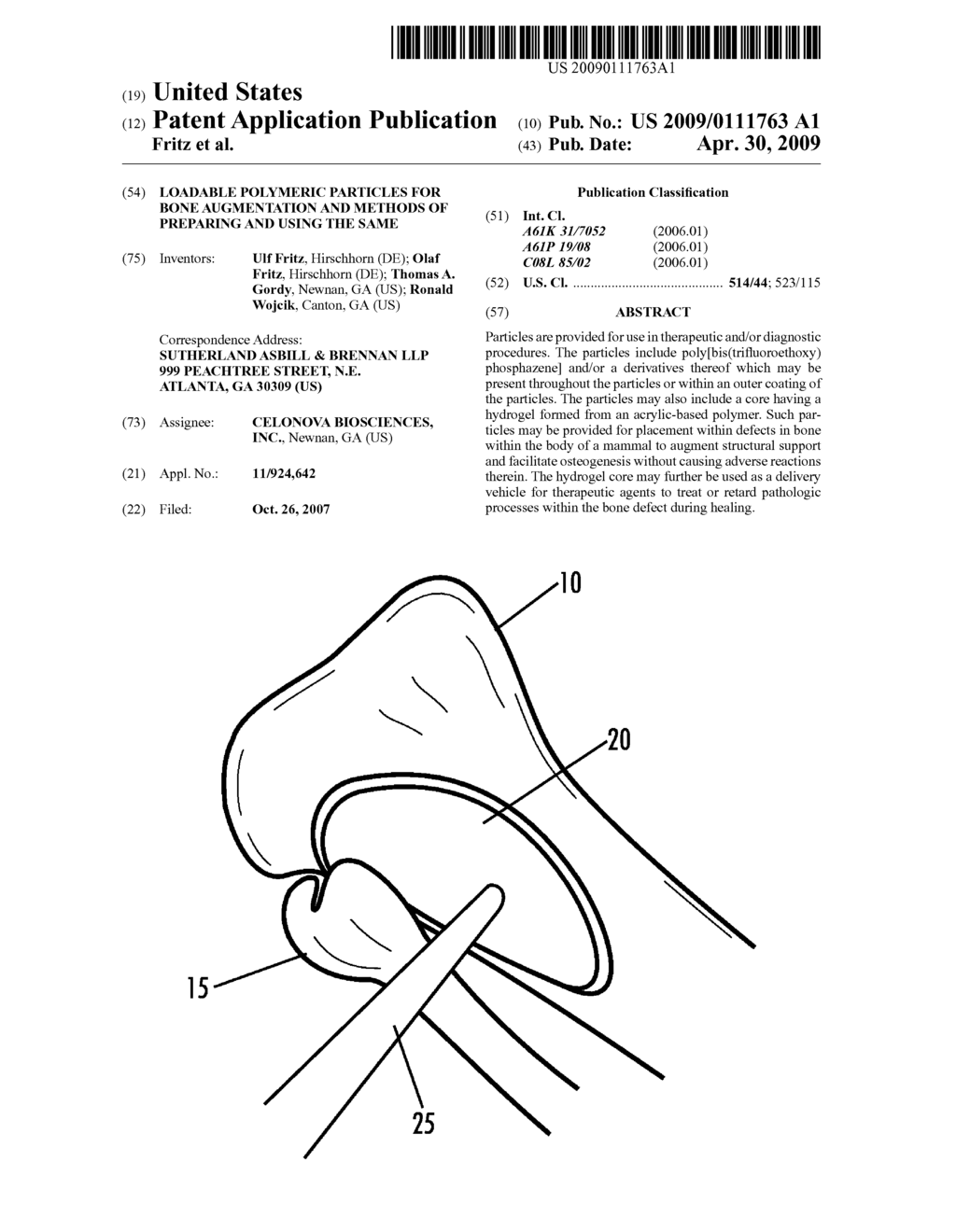 LOADABLE POLYMERIC PARTICLES FOR BONE AUGMENTATION AND METHODS OF PREPARING AND USING THE SAME - diagram, schematic, and image 01