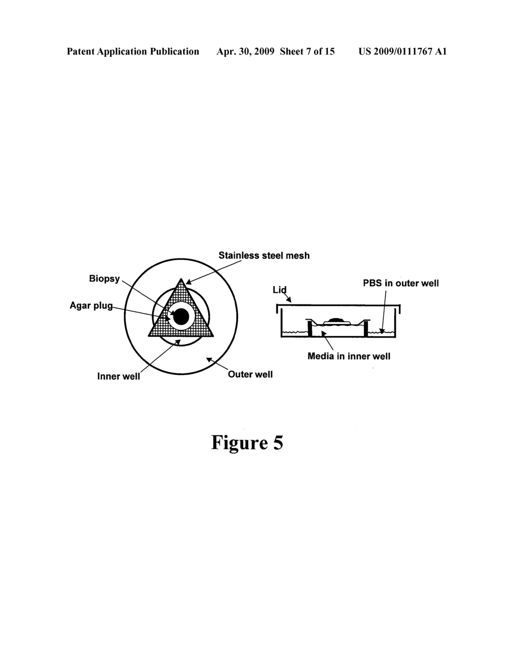 MODULATION OF INSULIN LIKE GROWTH FACTOR I RECEPTOR EXPRESSION - diagram, schematic, and image 08