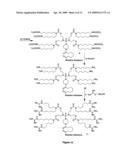 Molecular transporter compositions comprising dendrimeric oligoguanidine with a tri-functional core that facilitates delivery into cells in vivo diagram and image