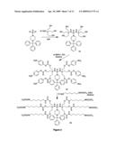 Molecular transporter compositions comprising dendrimeric oligoguanidine with a tri-functional core that facilitates delivery into cells in vivo diagram and image