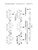 Molecular transporter compositions comprising dendrimeric oligoguanidine with a tri-functional core that facilitates delivery into cells in vivo diagram and image