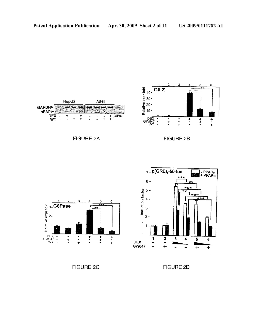 COMPOSITION AND METHODS RELATING TO GLUCOCORTICOID RECEPTOR-ALPHA AND PEROXISOME PROLIFERATOR-ACTIVATED RECEPTORS - diagram, schematic, and image 03