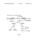 Aryl-substituted bridged or fused diamines as modulators of leukotriene A4 hydrolase diagram and image