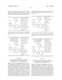 Novel 1,2,3,4-Tetrahydroquinoxaline Derivative Having Glucocorticoid Receptor Binding Activity diagram and image