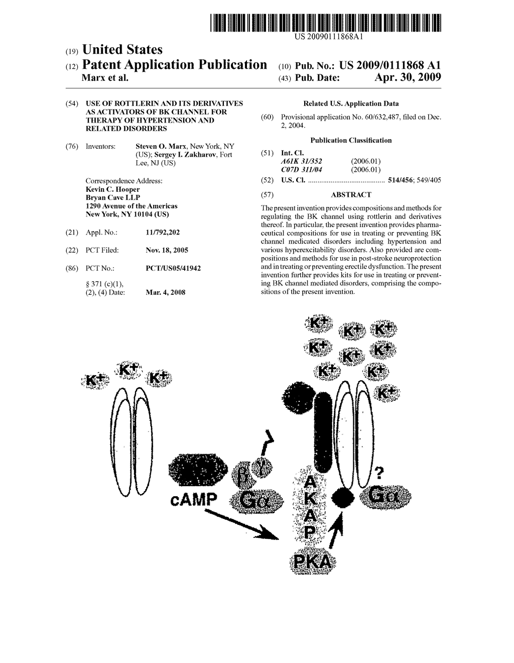 Use Of Rottlerin And Its Derivatives As Activators Of BK Channel For Therapy Of Hypertension And Related Disorders - diagram, schematic, and image 01