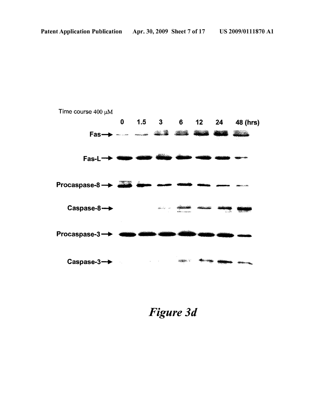 Angelicae Sinensis Extracts Useful for Treatment of Cancers - diagram, schematic, and image 08