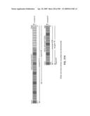 Processor for executing multiply matrix and convolve extract instructions requiring wide operands diagram and image