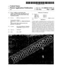 DUAL CARBON NANOTUBES FOR CRITICAL DIMENSION METROLOGY ON HIGH ASPECT RATIO SEMICONDUCTOR WAFER PATTERNS diagram and image