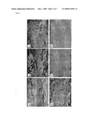 NOVEL Fe-Al ALLOY AND METHOD FOR PRODUCING THE SAME diagram and image