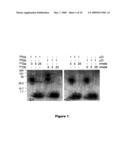 Radiologic Agents for Monitoring Alzheimer s Disease Progression and Evaluating a Response to Therapy and Processes for the Preparation of Such Agents diagram and image