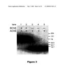 Radiologic Agents for Monitoring Alzheimer s Disease Progression and Evaluating a Response to Therapy and Processes for the Preparation of Such Agents diagram and image