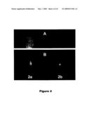 Radiologic Agents for Monitoring Alzheimer s Disease Progression and Evaluating a Response to Therapy and Processes for the Preparation of Such Agents diagram and image