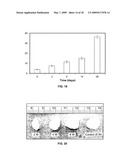 CROSSLINKED COMPOUNDS AND METHODS OF MAKING AND USING THEREOF diagram and image