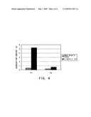 Stabilizer for Protein Preparation Comprising Meglumine and Use Thereof diagram and image