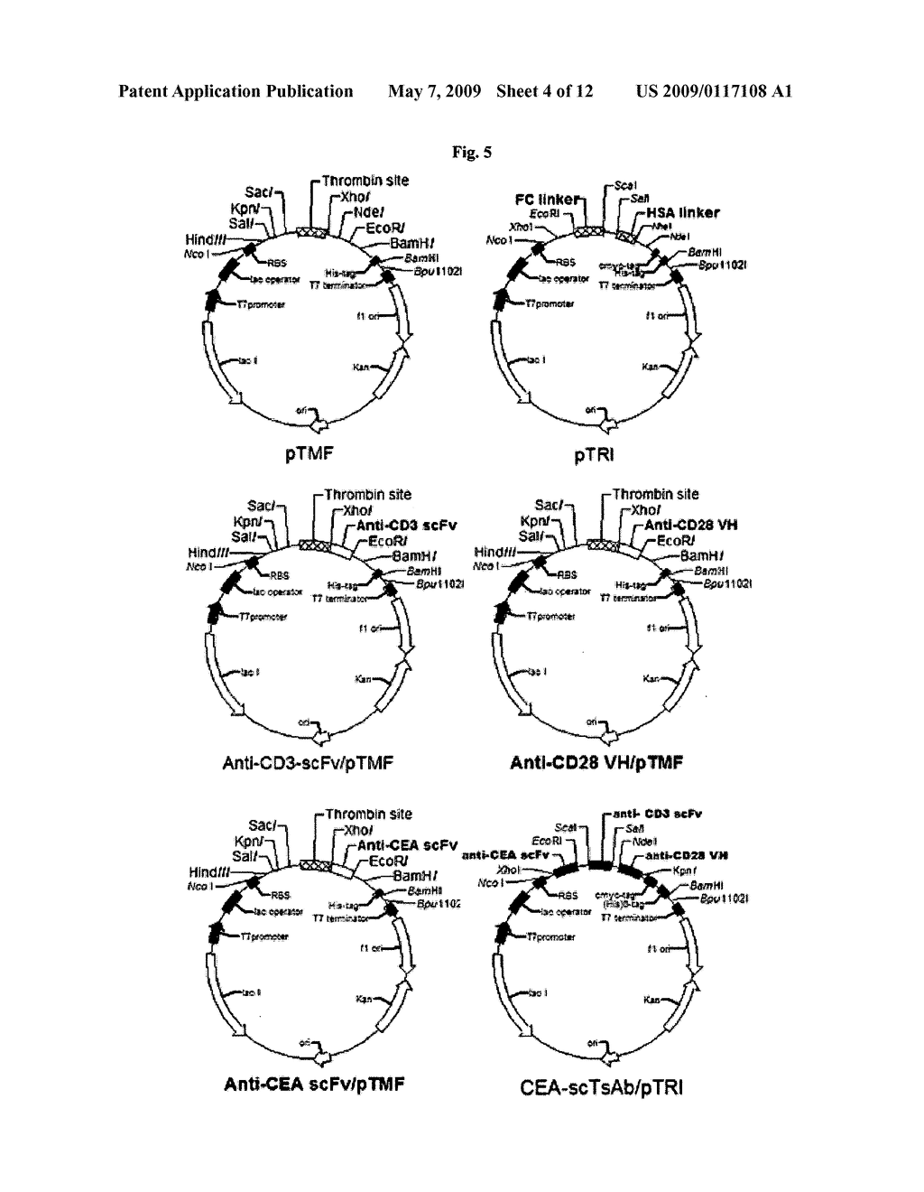 Gene Engineering Recombinant Anti-CEA, Anti-CD3, And Anti-CD28 Single-Chain Tri-Specific Antibody - diagram, schematic, and image 05