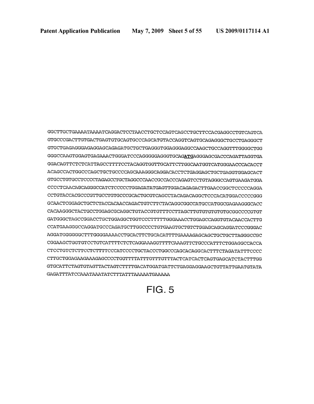 IL-17 homologous polypeptides and therapeutic uses thereof - diagram, schematic, and image 06