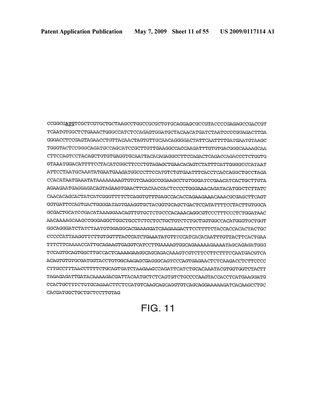 IL-17 homologous polypeptides and therapeutic uses thereof - diagram, schematic, and image 12