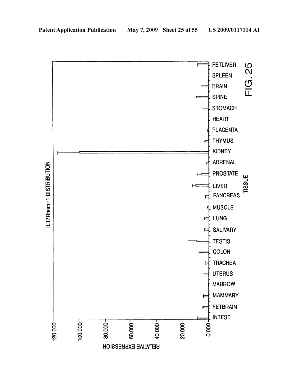 IL-17 homologous polypeptides and therapeutic uses thereof - diagram, schematic, and image 26