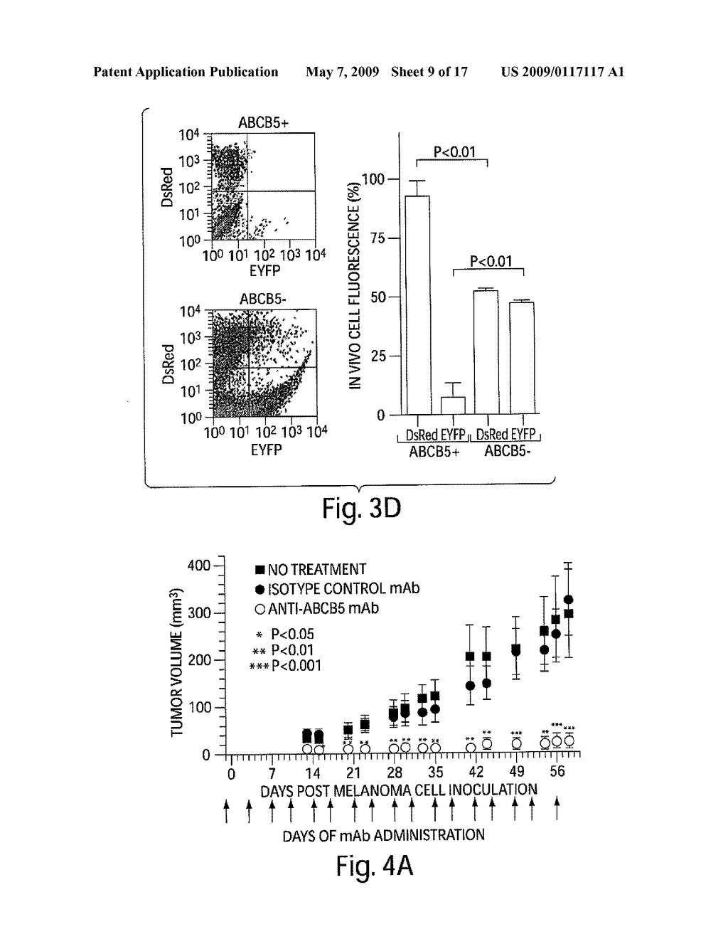 TARGETING ABCB5 FOR CANCER THERAPY - diagram, schematic, and image 10