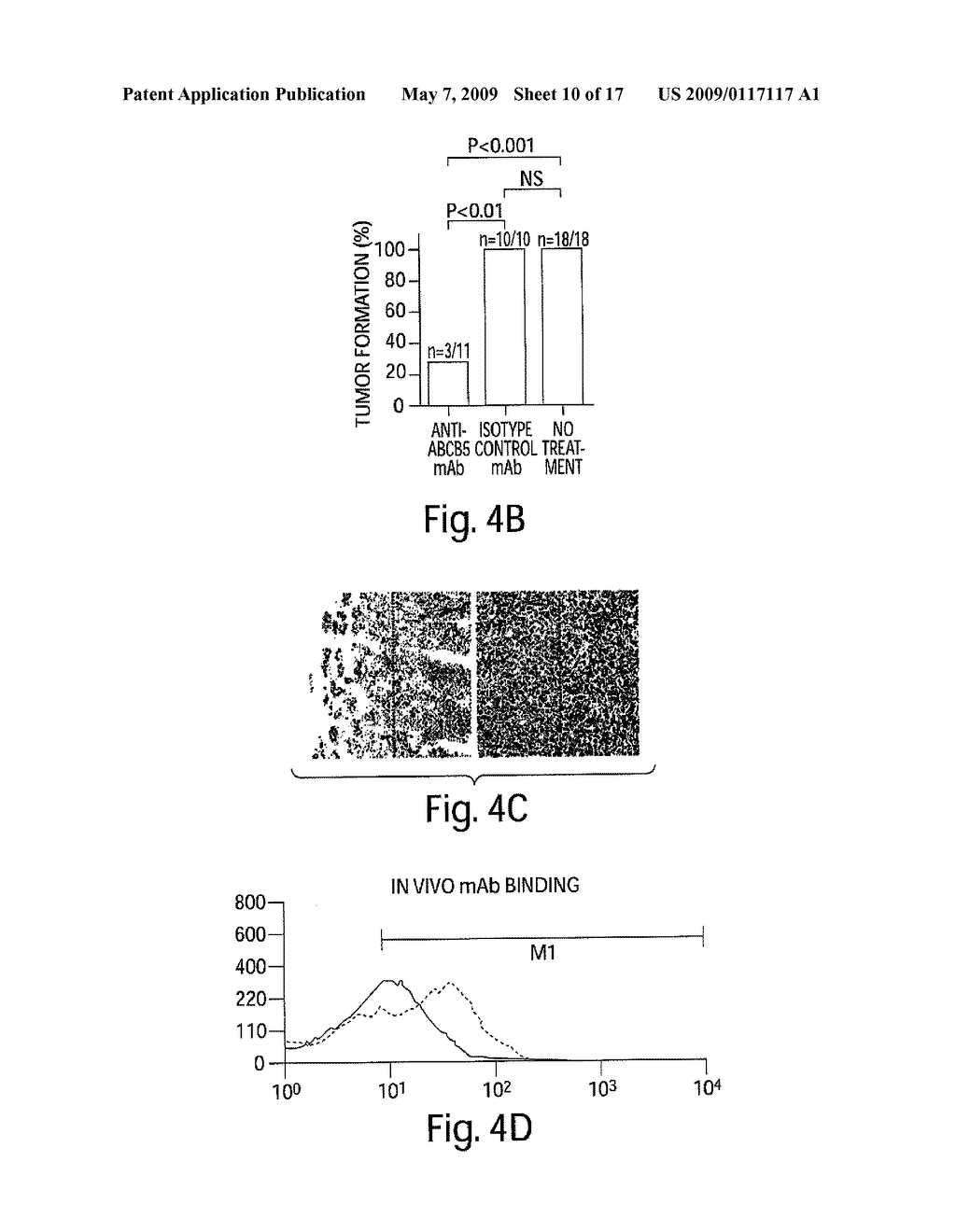 TARGETING ABCB5 FOR CANCER THERAPY - diagram, schematic, and image 11