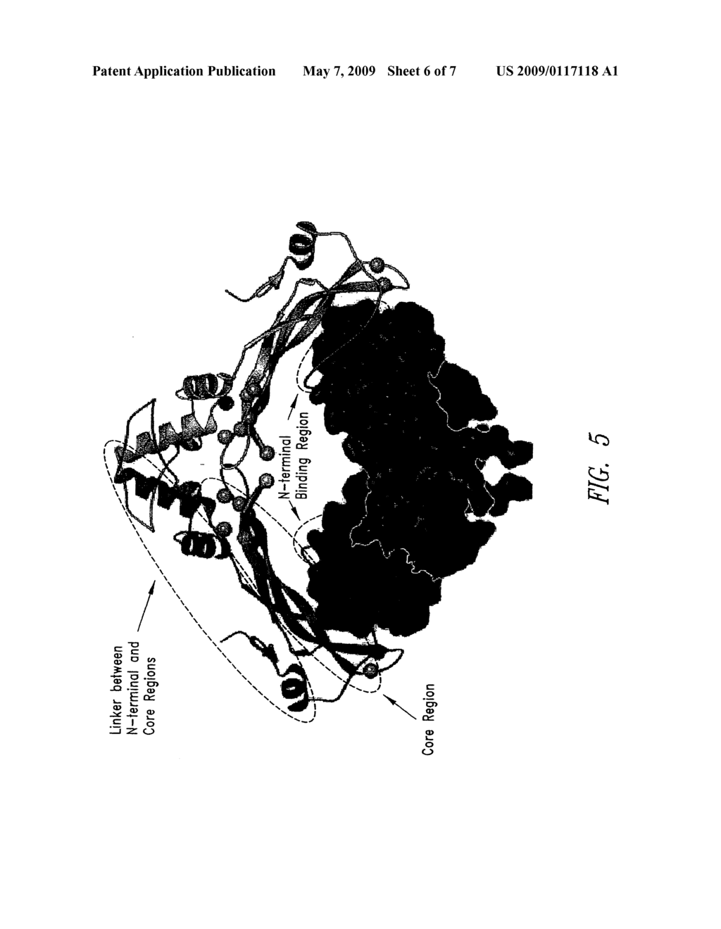 ANTIBODIES SPECIFIC FOR SCLEROSTIN AND METHODS FOR INCREASING BONE MINERALIZATION - diagram, schematic, and image 07